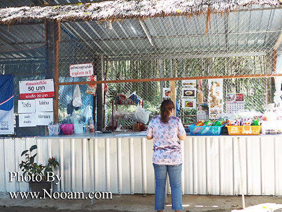 รีวิว วังน้ำปัว บ้านนาฝาง กินส้มตำและนั่งหย่อนขาแช่น้ำ สุดชิล ที่จังหวัดน่าน